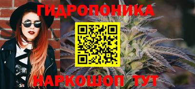 гидра Владимир
