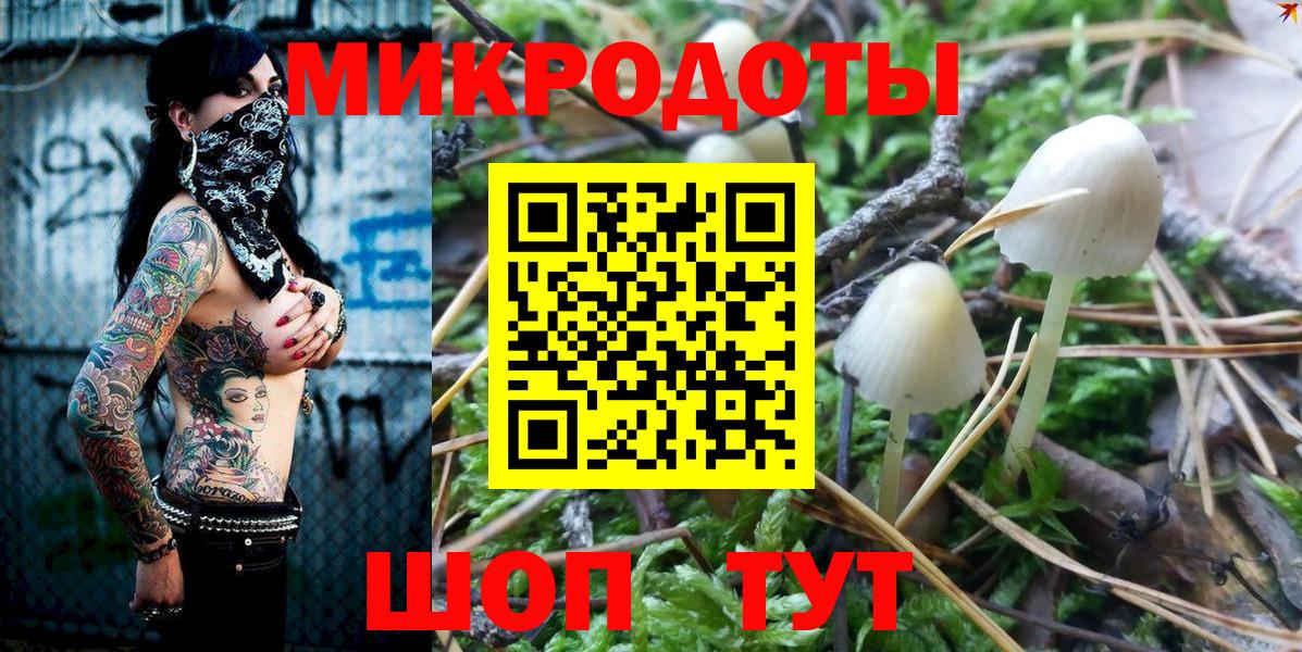 Галлюциногенные грибы Psilocybine cubensis Архангельск