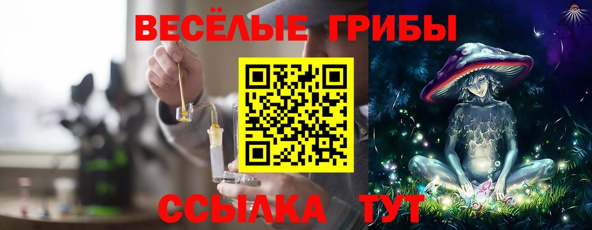 Галлюциногенные грибы Psilocybe  Галлюциногенные грибы Cubensis  Вход с VPN  Архангельск 